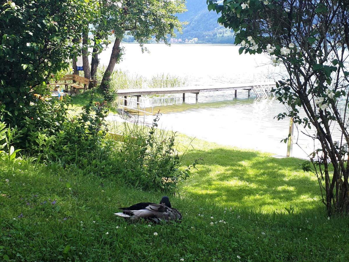 Maren Seeblick Appartement Haus Haensel&Gretel Direkt Am Ossiacher See Mit Hallenbad Stiegl Экстерьер фото
